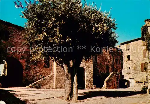 AK / Ansichtskarte Parages_Les_Arcs sur Argens_83_Var Place des Micoucouliers 