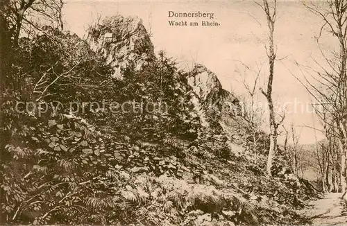 AK / Ansichtskarte  Donnersberg_Pfalz Wacht am Rhein 