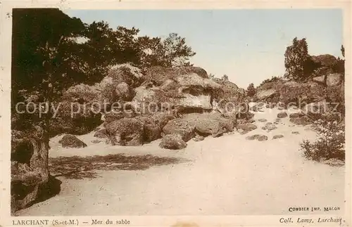 AK / Ansichtskarte Larchant_77_Seine et Marne Mer du sable 