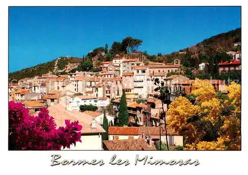 AK / Ansichtskarte Bormes les Mimosas_83_Var Vue d ensemble 