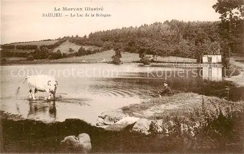 AK / Ansichtskarte Saulieu Le Lac de la Bologne Saulieu