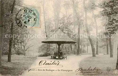 AK / Ansichtskarte Lille_59 Bois de Boulogne Le Champignon 