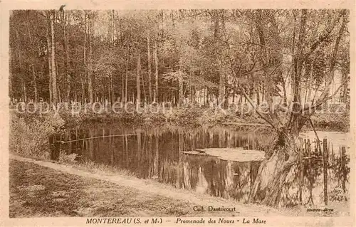 AK / Ansichtskarte Montereau_77 Fault Yonne Promenade des Noues La Mare 