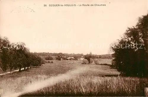 AK / Ansichtskarte Ozouer le Voulgis_77_Seine et Marne La Route de Chaumes 