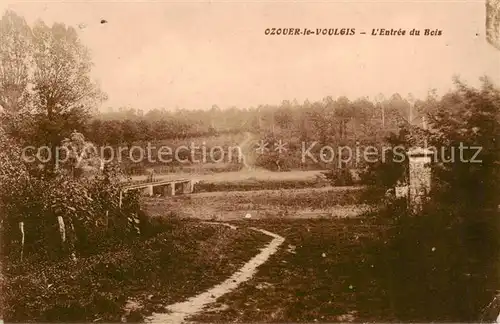 AK / Ansichtskarte Ozouer le Voulgis_77_Seine et Marne Entree du Bois 