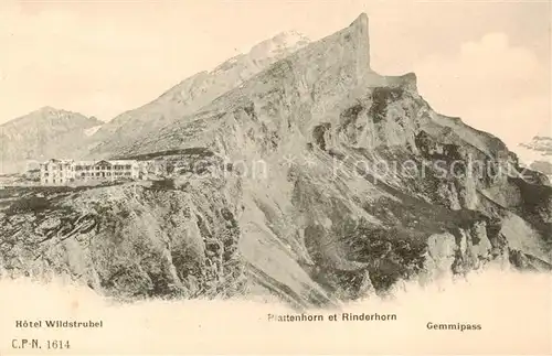 AK / Ansichtskarte Gemmipass_2322m_VS mit Hotel Wildstrubel Plattenhorn und Rinderhorn 