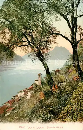 AK / Ansichtskarte Gandria_Lago_di_Lugano Panorama Gandria_Lago_di_Lugano