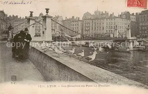 AK / Ansichtskarte Lyon_France Les Mouettes au Pont La Feuille Lyon France