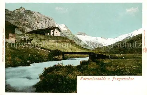 AK / Ansichtskarte Edelweisshalde_Fex_GR Panorama mit Fexgletscher 