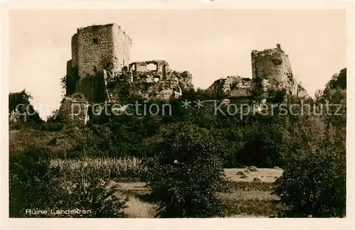 AK / Ansichtskarte Ruine_Landskron Motiv Ruine_Landskron