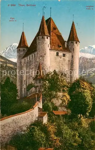 AK / Ansichtskarte Thun_BE Schloss Thun_BE