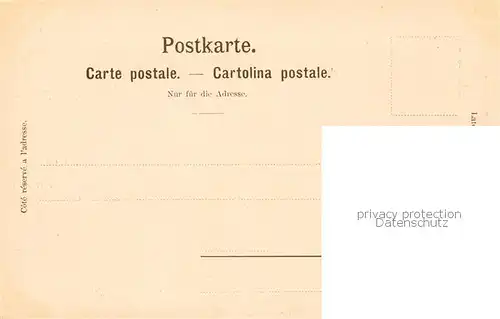 AK / Ansichtskarte Spiez_Thunersee_BE Panorama Spiez_Thunersee_BE