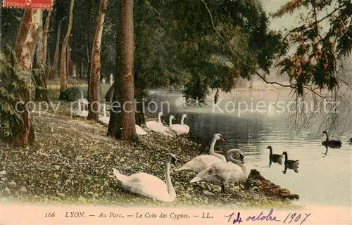 AK / Ansichtskarte Lyon_France Au Parc Le Coin des Cybnes Lyon France
