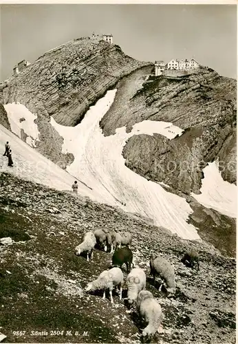 AK / Ansichtskarte Saentis_2504m_AR Gipfelblick 