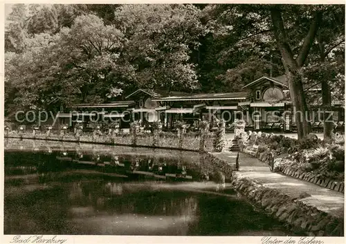 AK / Ansichtskarte  Bad_Harzburg Gondelteich Unter den Eichen Bad_Harzburg