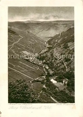 AK / Ansichtskarte  Steeg_Bacharach Ansicht vom Schoenblick Steeg Bacharach