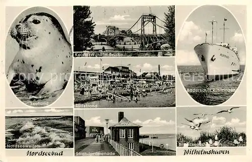 AK / Ansichtskarte  Wilhelmshaven Seehund Kaiser Wilhelm Bruecke SuedstrandBaederschiff Ruestringen Strandpromenade Seeschwalben Wilhelmshaven