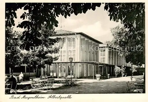 AK / Ansichtskarte 73829280 Bad_Mergentheim Albertquelle Bad_Mergentheim