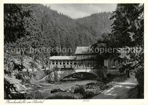 AK / Ansichtskarte  Okertal Hotel Romkerhalle mit Pensionshaus Helene Okertal