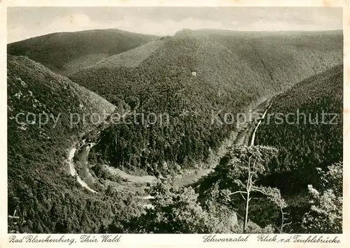 AK / Ansichtskarte  Bad_Blankenburg Schwarzatal Blick von der Teufelsbruecke Bad_Blankenburg