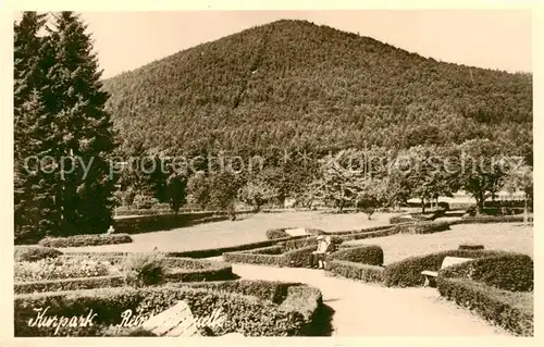 AK / Ansichtskarte Bad_Wildungen Kurpark Bad_Wildungen