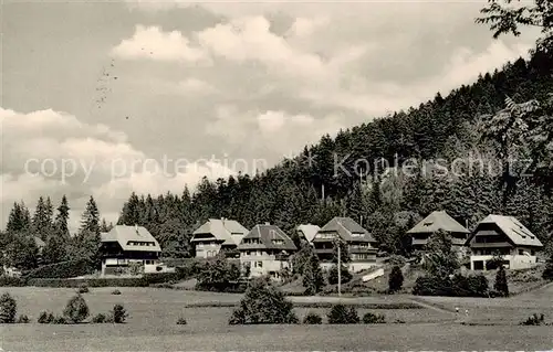 AK / Ansichtskarte  Hinterzarten Sickinger Weg Hinterzarten