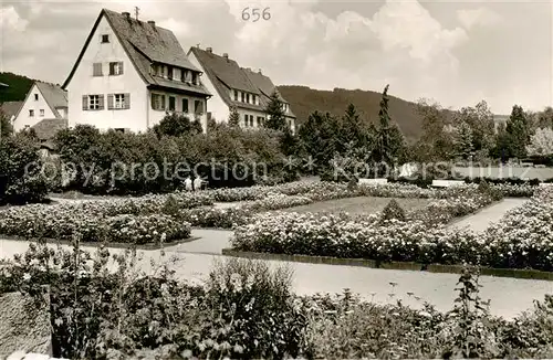 AK / Ansichtskarte  Hersbruck Rosengarten beim Strudelbad Hersbruck