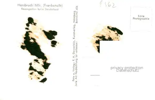 AK / Ansichtskarte  Hersbruck Rosengarten beim Strudelbad Hersbruck