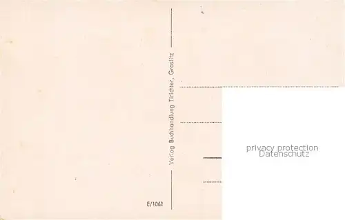 AK / Ansichtskarte  Graslitz_Kraslice_CZ Fliegeraufnahme 