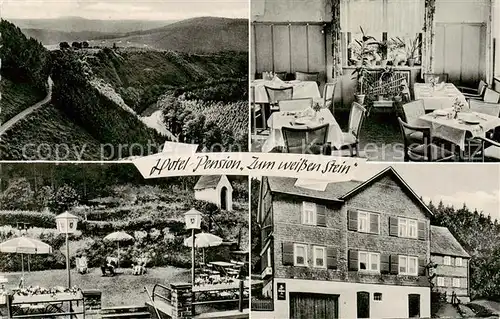 AK / Ansichtskarte  Katzenbach_Sieg Hotel Pension Zum weissen Stein Gaststube Panorama Katzenbach Sieg