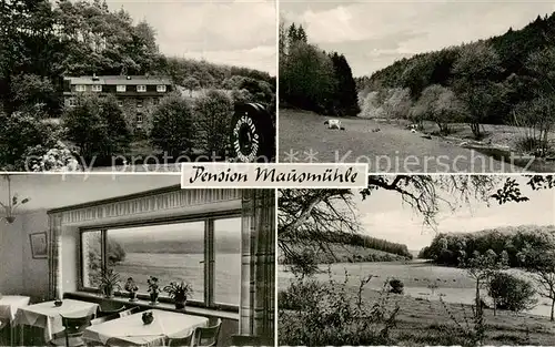 AK / Ansichtskarte  Selters_Westerwald Pension Mausmuehle Gaststube Panorama Selters_Westerwald