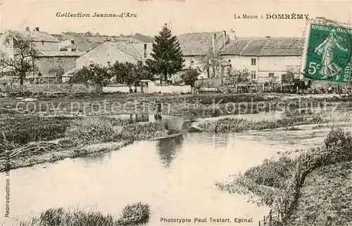 AK / Ansichtskarte Domremy_55_Meuse Vue panoramique la Meuse 