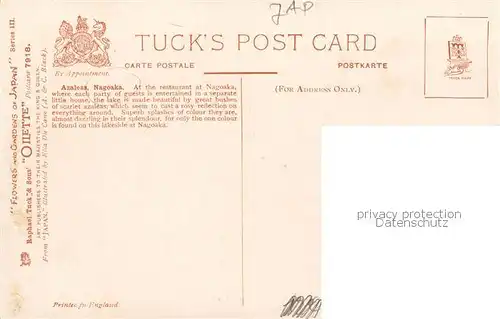 AK / Ansichtskarte Nagoaka_Japan Azaleas 