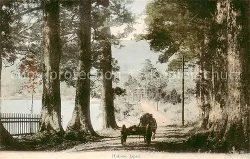 AK / Ansichtskarte Hakone_Japan Panorama 