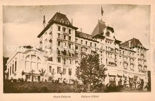 AK / Ansichtskarte Mont_Pelerin_VD Palace Hotel 
