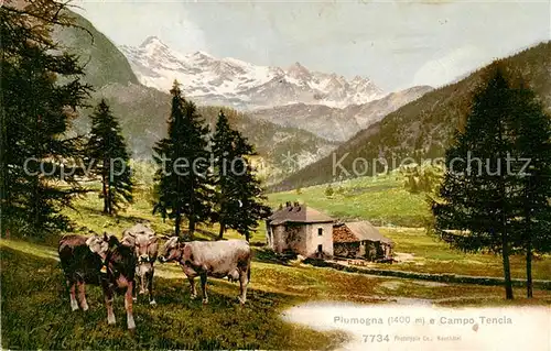 AK / Ansichtskarte Piumogna_1400m_TI e Campo Tencia 