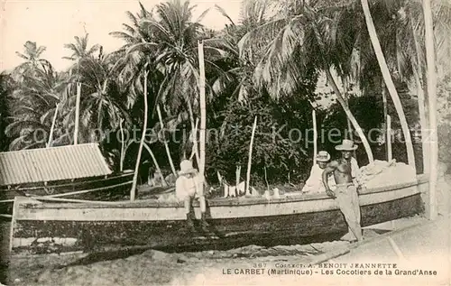 AK / Ansichtskarte Le_Carbet_Martinique Les Cocotiers de la Grand Anse 