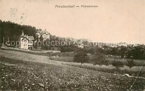 AK / Ansichtskarte Freudenstadt Videnkolonie Freudenstadt