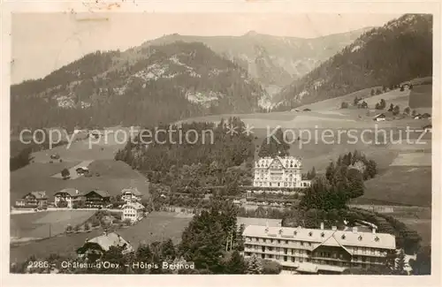 AK / Ansichtskarte Chateau d_Oex Hotels Berthod Chateau d Oex