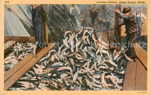 AK / Ansichtskarte Seattle_Washington_USA Loading Salmon Puget Sound 