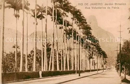 AK / Ansichtskarte Rio_de_Janeiro Jardim Botanico Rua Voluntarios da Patria Rio_de_Janeiro
