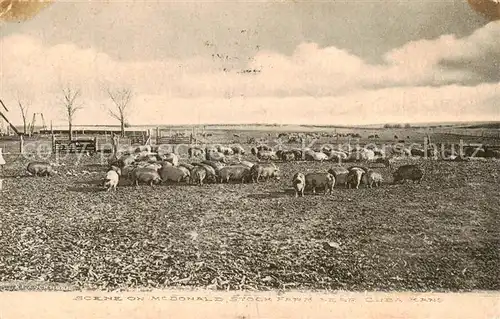 AK / Ansichtskarte  Cuba_Kansas_USA Scene on Mc Donald Stock Farm  