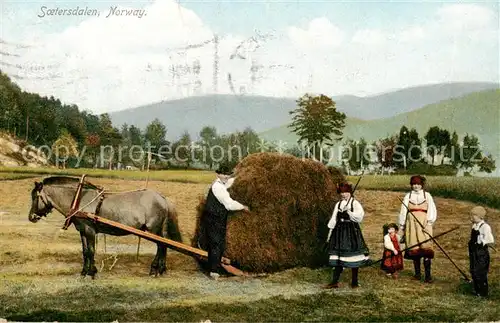 AK / Ansichtskarte  Soetersdalen_Norge Bauernfamilie bei der Heuernte 