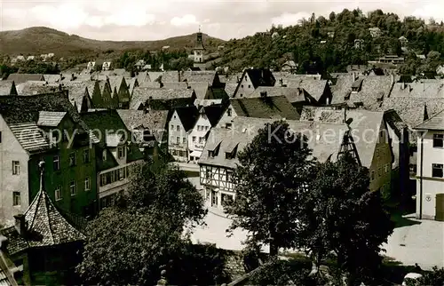 AK / Ansichtskarte  Hersbruck mit Hansgoergl und Michaelsberg Hersbruck