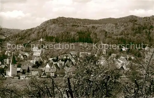 AK / Ansichtskarte  Eschenbach_Mittelfranken Panorama Eschenbach Mittelfranken