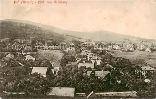 AK / Ansichtskarte  Bad_Flinsberg_Swieradow_Zdroj_PL Blick vom Haumberg Feldpost 