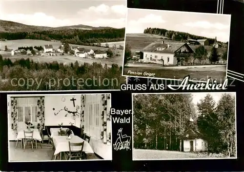 AK / Ansichtskarte  Auerkiel_Viechtach Panorama Pension Geiger Gaststube Stein-Kapelle Auerkiel Viechtach