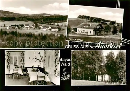 AK / Ansichtskarte  Auerkiel_Viechtach Panorama Pension Geiger Gaststube Stein-Kapelle Auerkiel Viechtach