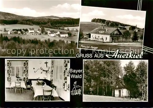 AK / Ansichtskarte  Auerkiel_Viechtach Panorama Pension Geiger Gaststube Stein-Kapelle Auerkiel Viechtach