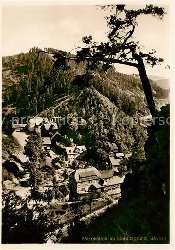 AK / Ansichtskarte Falkenstein_Oberfranken Im Loquitzgrund Falkenstein_Oberfranken
